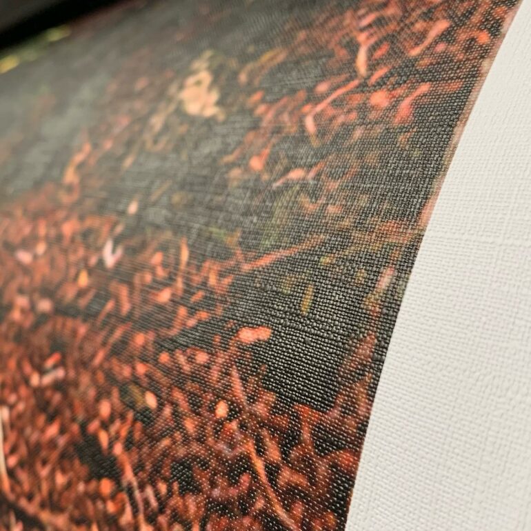 impresion-plotter-adhesivos-leon